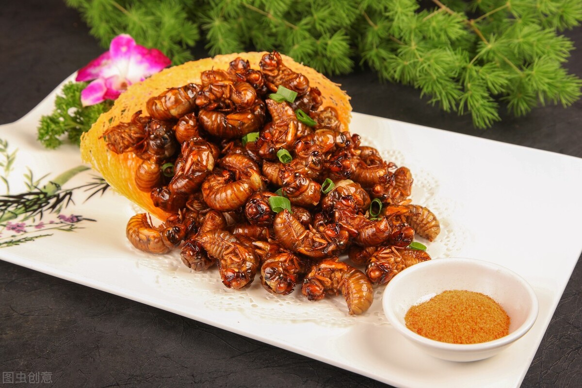 怎么保存金蝉不坏『金蝉怎么保存不变黑』 - 广俊百科知识