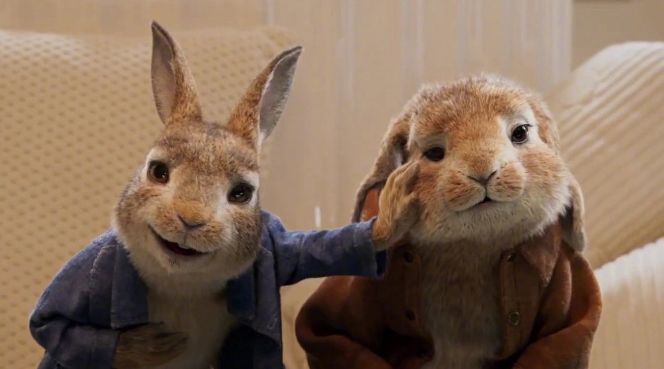 继续云吸兔~童话改编真人电影《比得兔2》发布5分钟幕后特辑