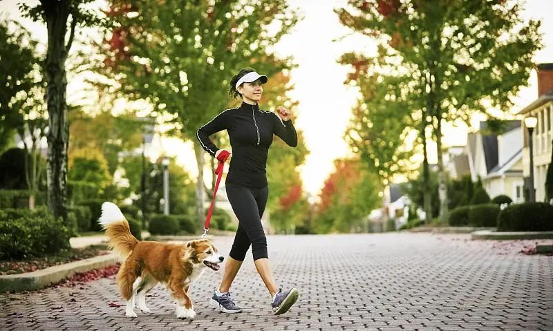 运动不够走路来凑?你知道怎么走步减肥又健身吗?