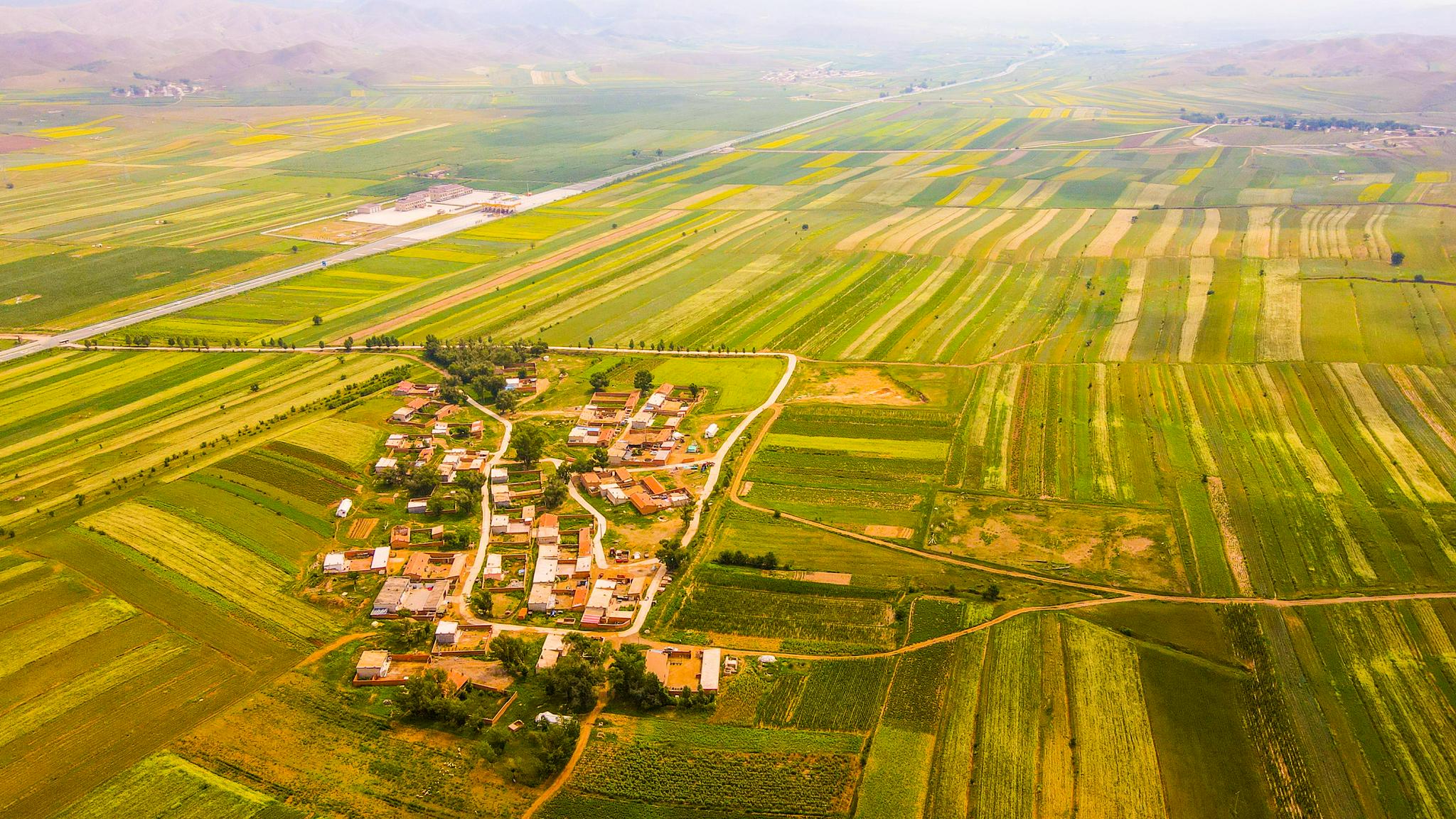 7月24日在内蒙古包头市固阳县拍摄的油菜花田(无人机照片).