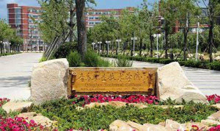 青岛职业技术学院夏季高考450分以上可尝试报考32