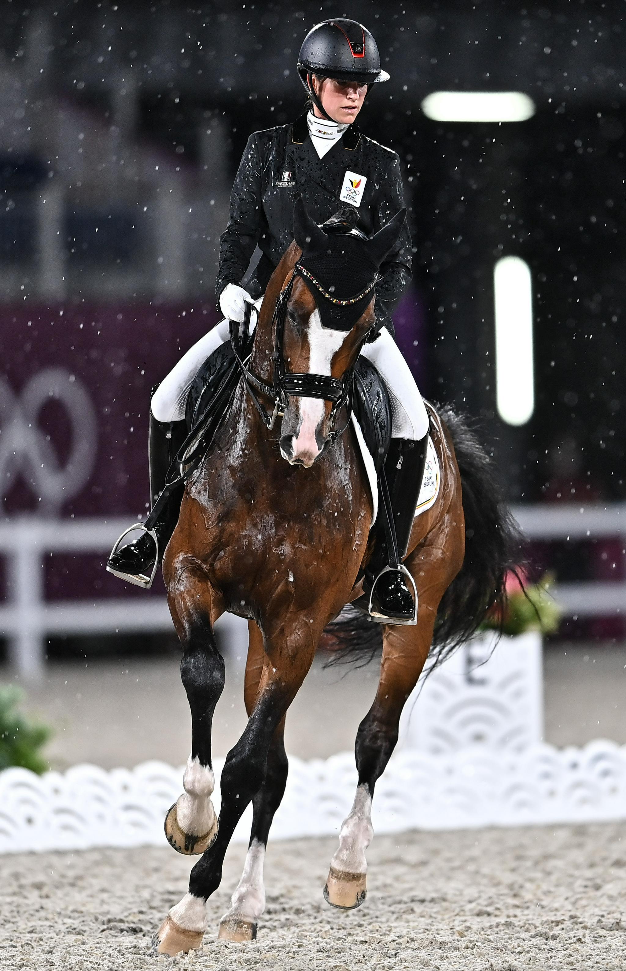 马术——"雨战"