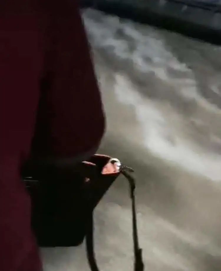 女子郑州寻夫，同事眼睁睁看着他卷入地铁5号线激流！休闲区蓝鸢梦想 - Www.slyday.coM