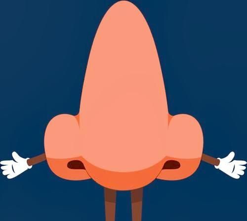 鼻子(人生辞典)