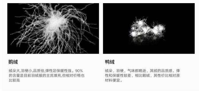 100克鹅绒和200克鸭绒图片