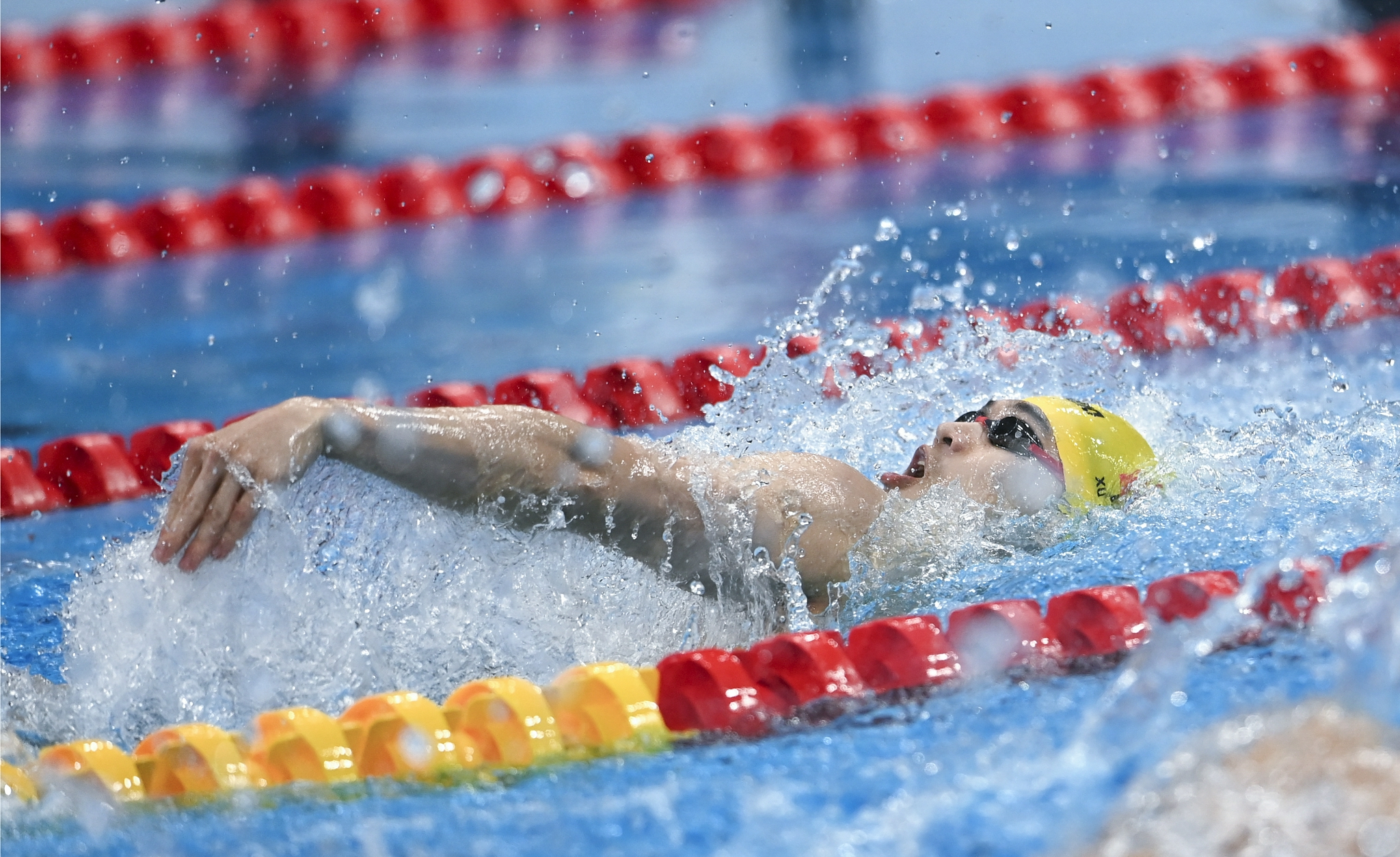 游泳——男子100米仰泳半决赛赛况