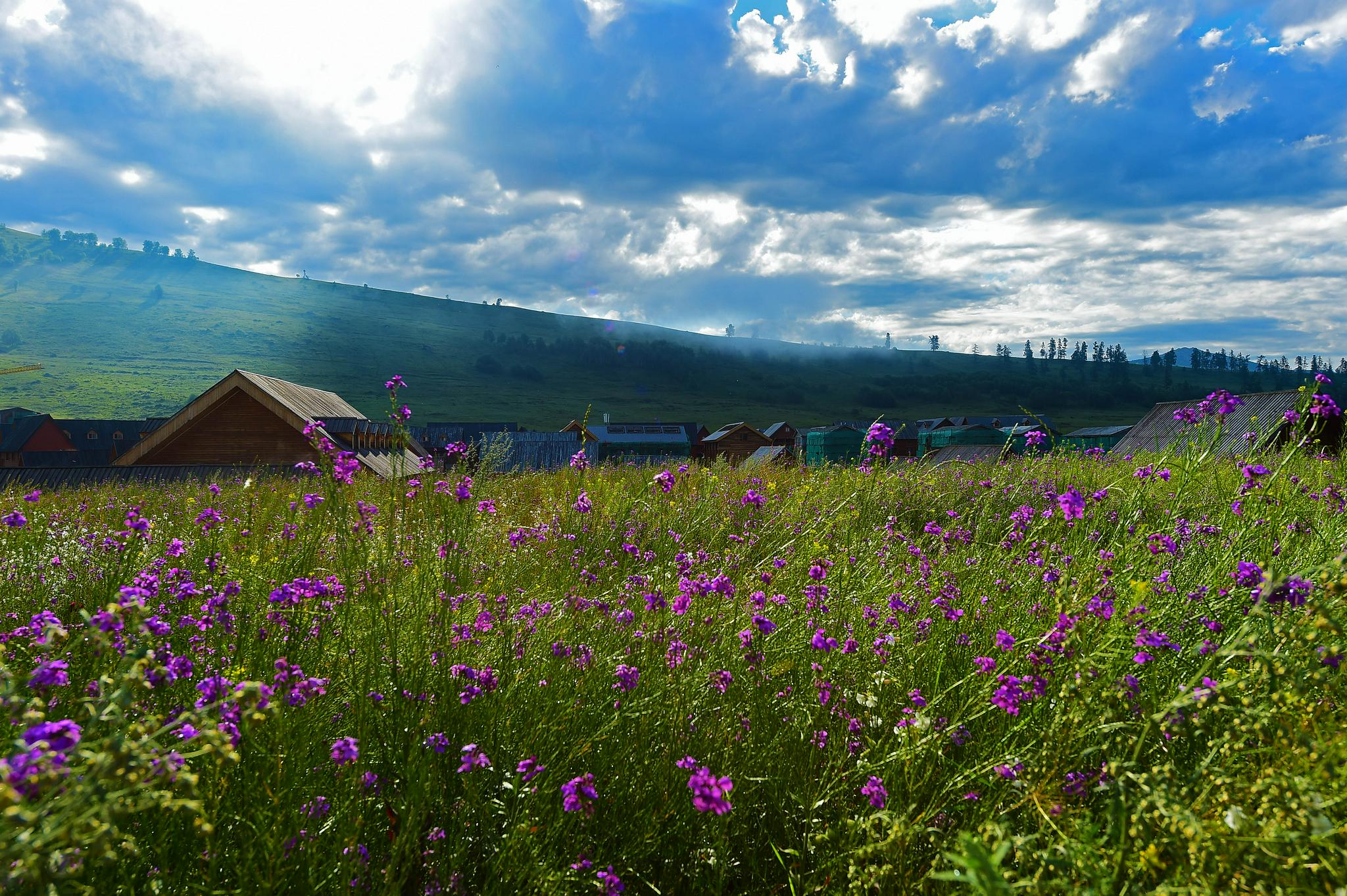 夏日里的禾木村