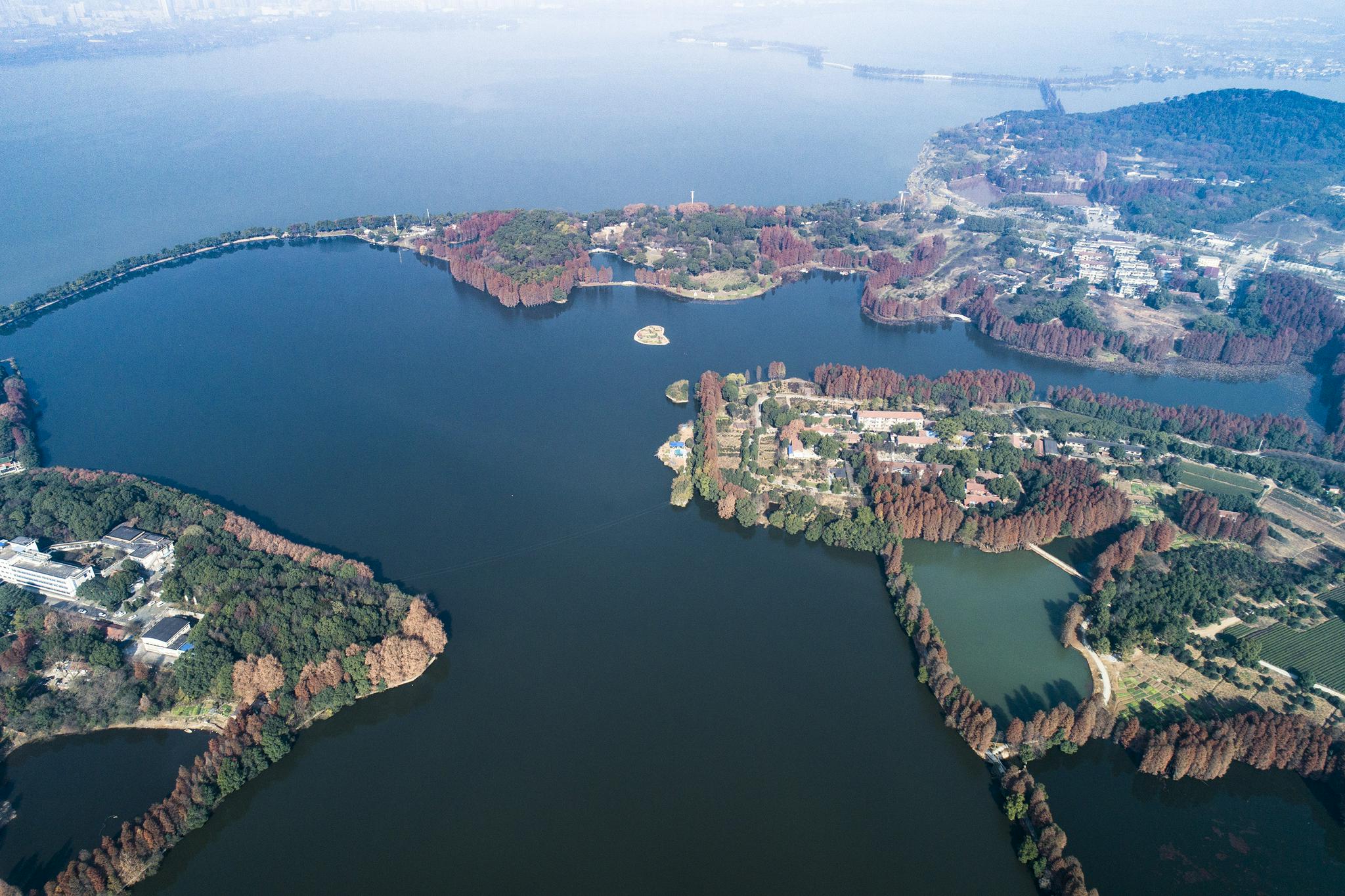 武汉探索设置非临水区域河湖长综合管护水环境