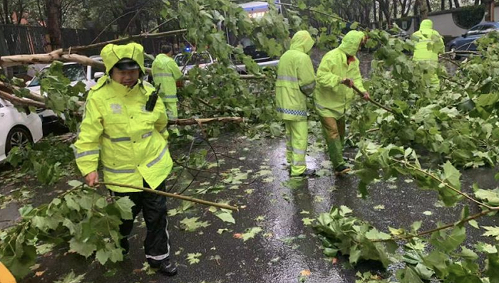 抗击台风“烟花”：上海已有序转移36万人，暂无人员伤亡