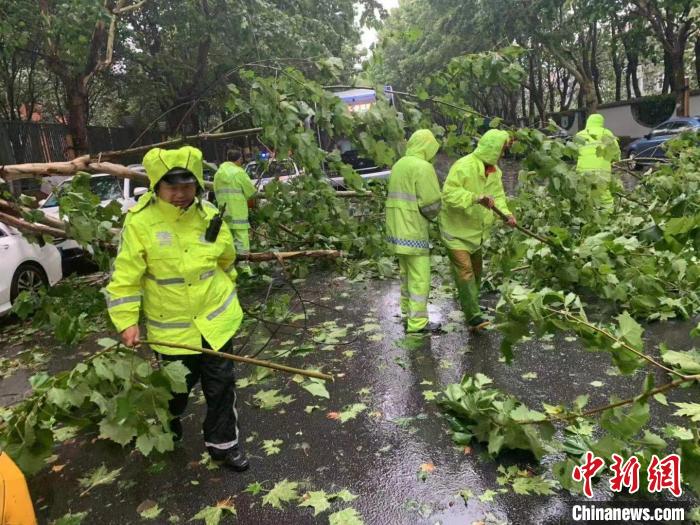 G1503绕城高速树木倒伏，警方协同相关部门清理处置。上海金山警方供图