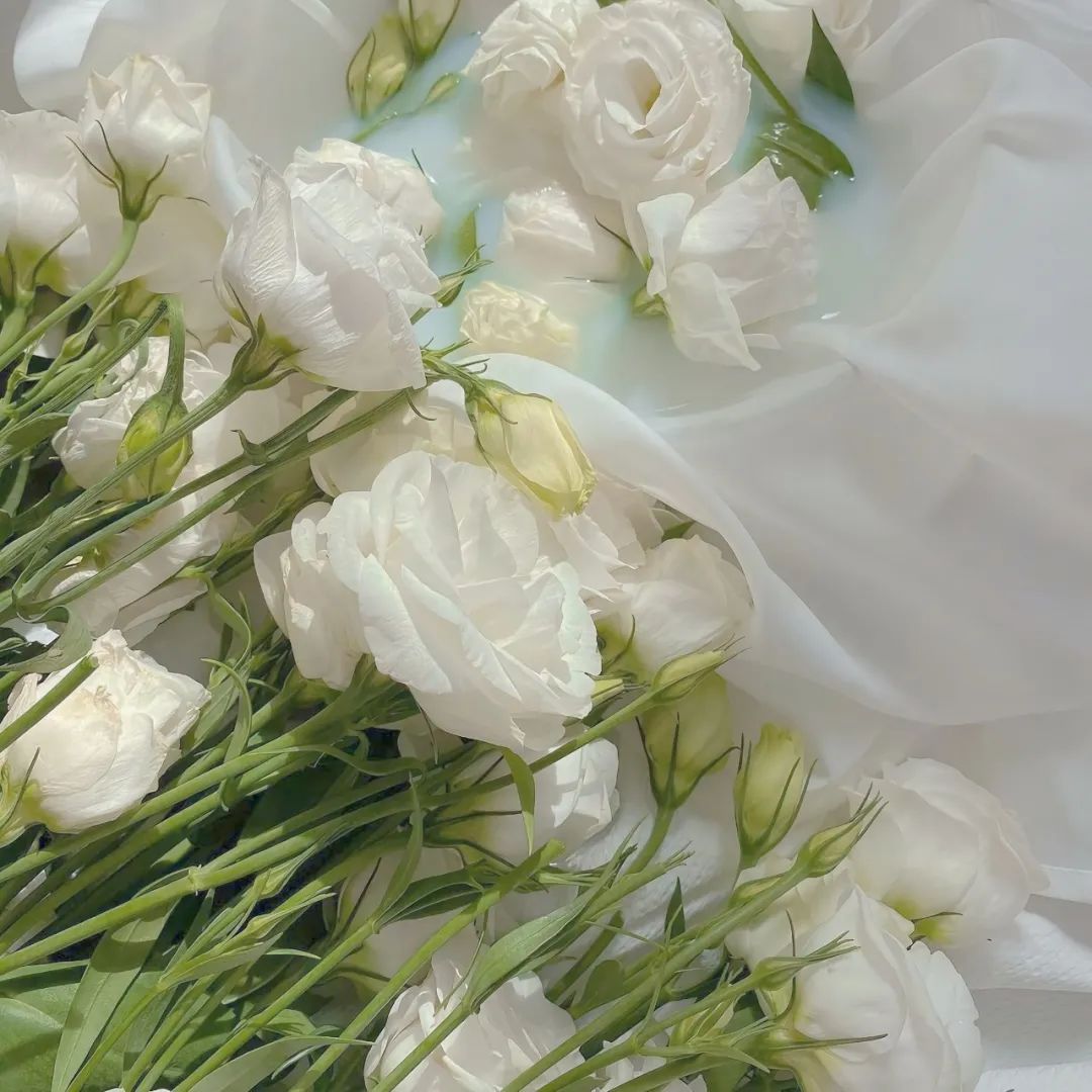 朋友圈背景 | 表白也不是件好事,会显手黑