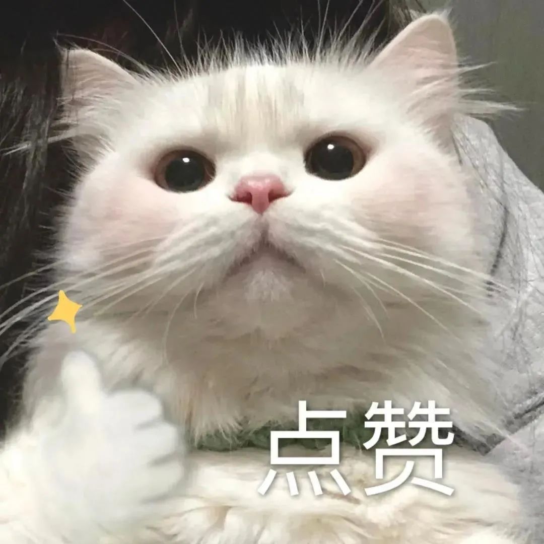 有什么特别可爱猫猫的动态图或表情包吗？ - 知乎