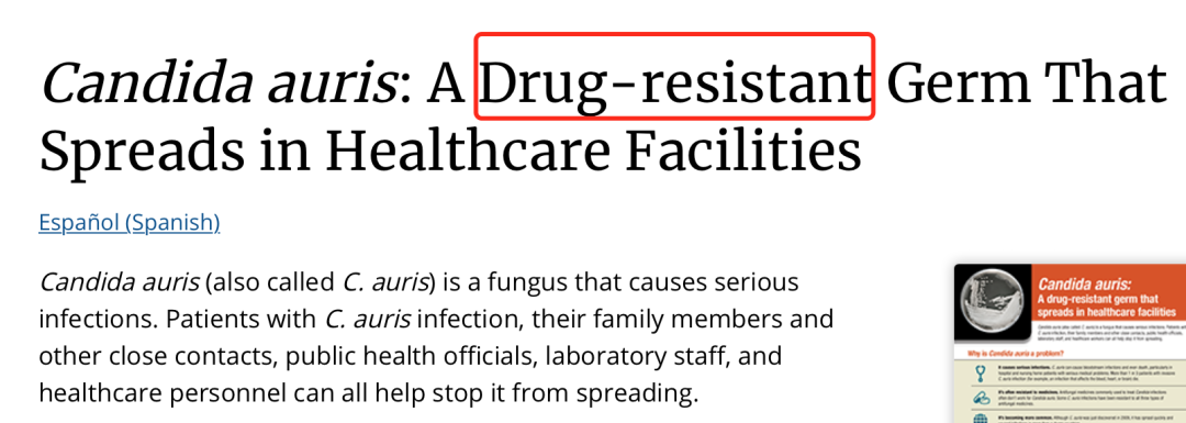 “超级真菌”爆发！发生人际传播，已致4人死亡休闲区蓝鸢梦想 - Www.slyday.coM