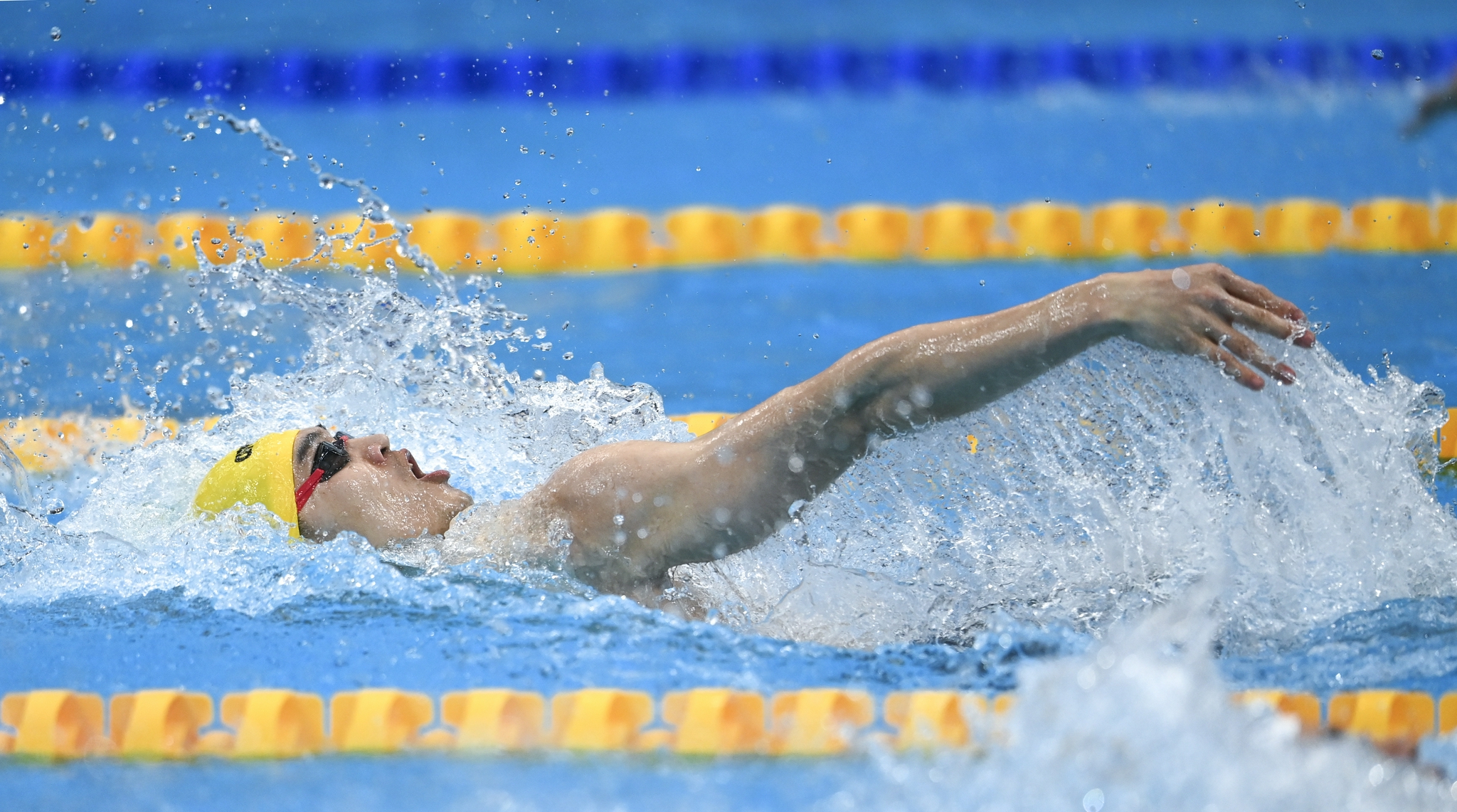 游泳——男子100米仰泳半决赛赛况