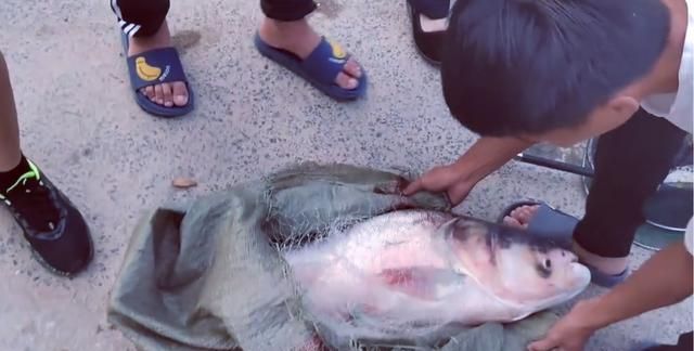 江苏一水库开闸放水后,泄洪口成大型捕鱼现场,警方：非常危险休闲区蓝鸢梦想 - Www.slyday.coM