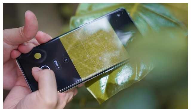 oppo find x3显微镜功能体验:能够摸到光学显微镜的__财经头条