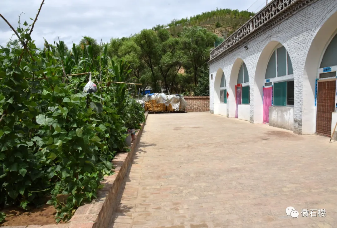 石楼县小蒜镇开展"六乱"整治观摩活动