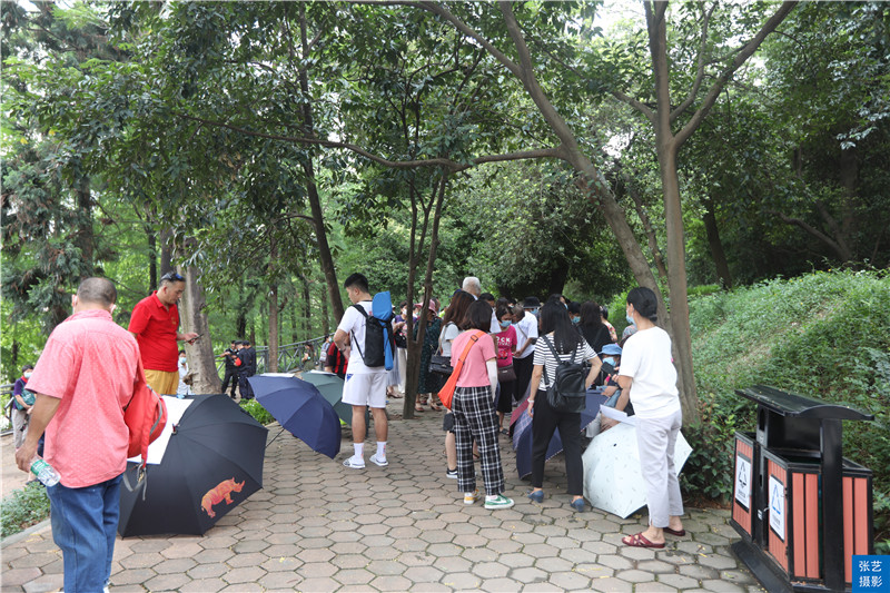 广州天河公园相亲角现场跟赶集一样场面火爆明码标价难觅爱情