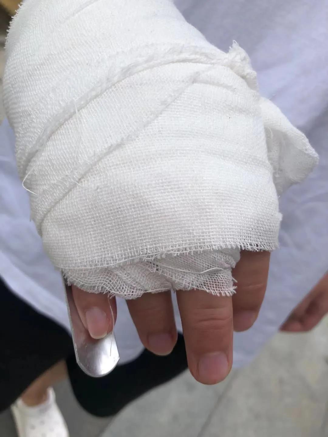 郑州暴雨中22只手托起诺亚方舟