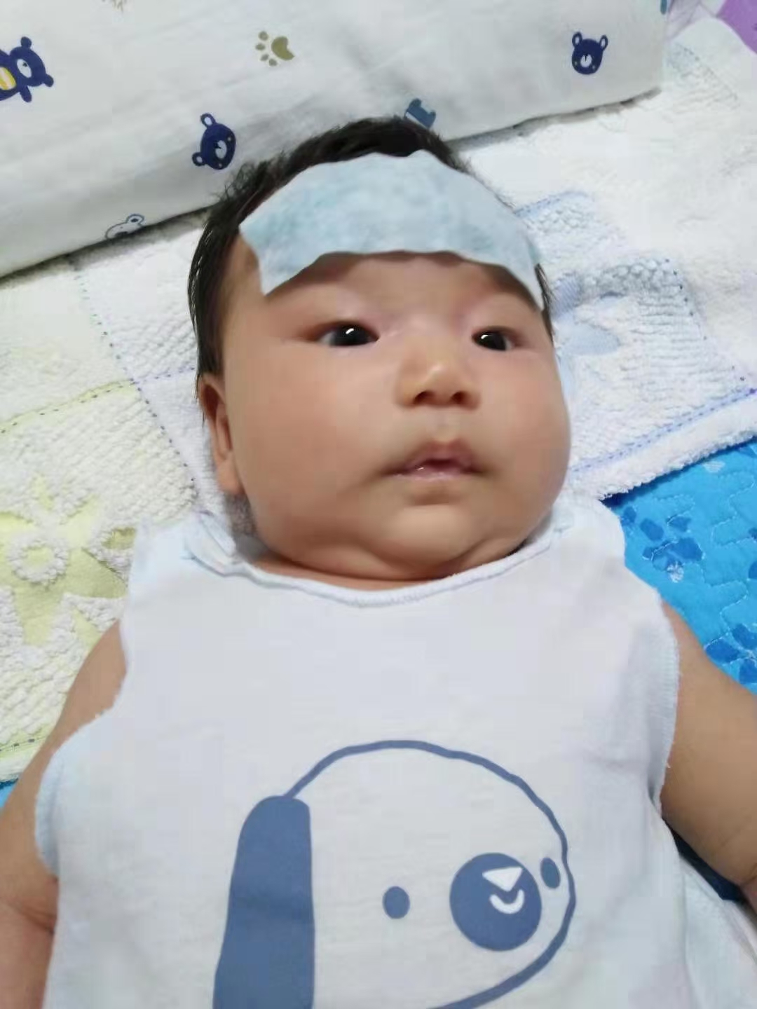 我在现场休闲区蓝鸢梦想 - Www.slyday.coM