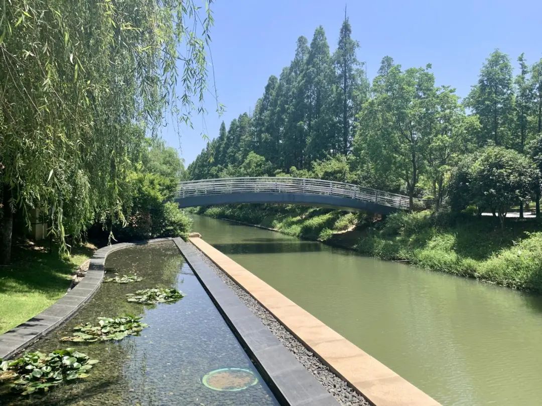 仁恒为什么这样做小区景观