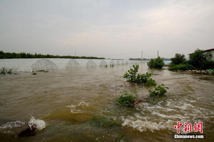 资料图：暴雨后的河南安阳。 中新社记者 张畅 摄