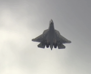 358_291gif 动态图 动图