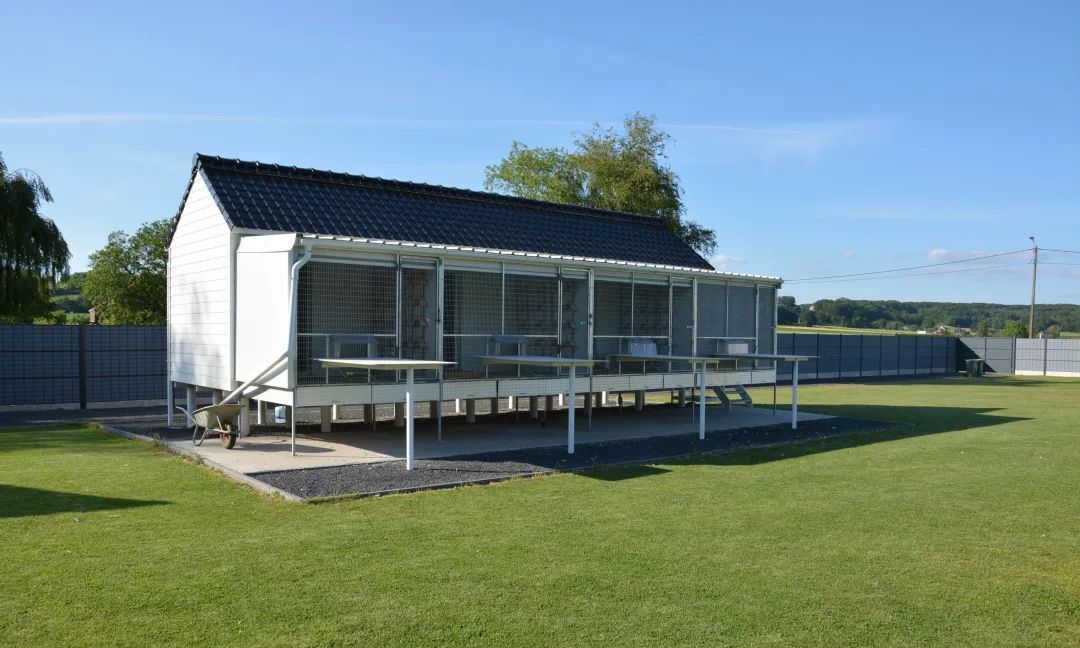 欧洲冠军鸽舍赏心悦目,在这里养鸽是一种享受!