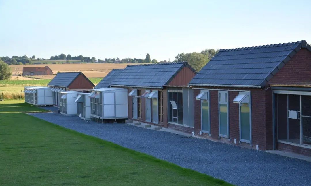 欧洲冠军鸽舍赏心悦目,在这里养鸽是一种享受!