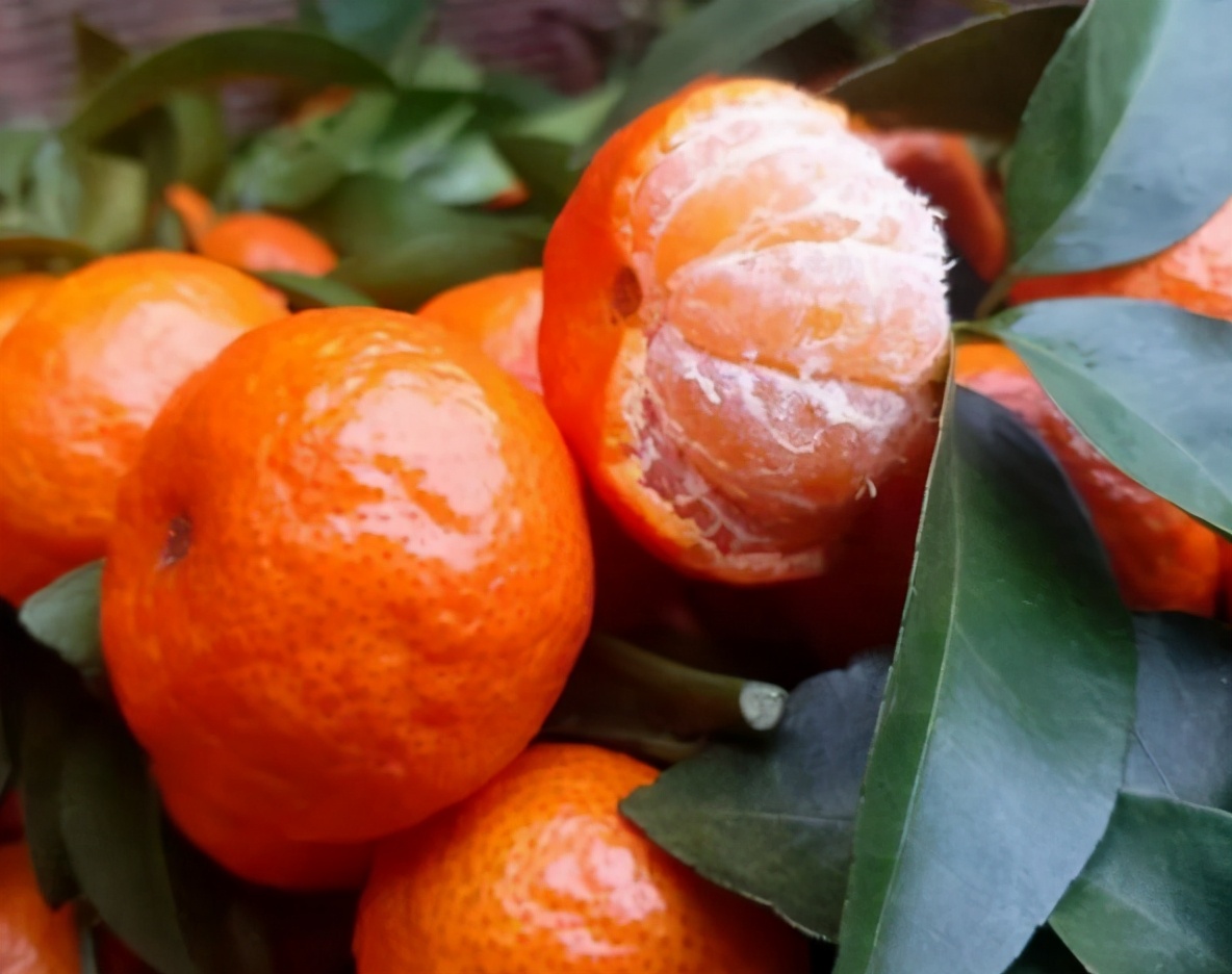 沙糖桔|砂糖桔|桔皮_新浪新闻