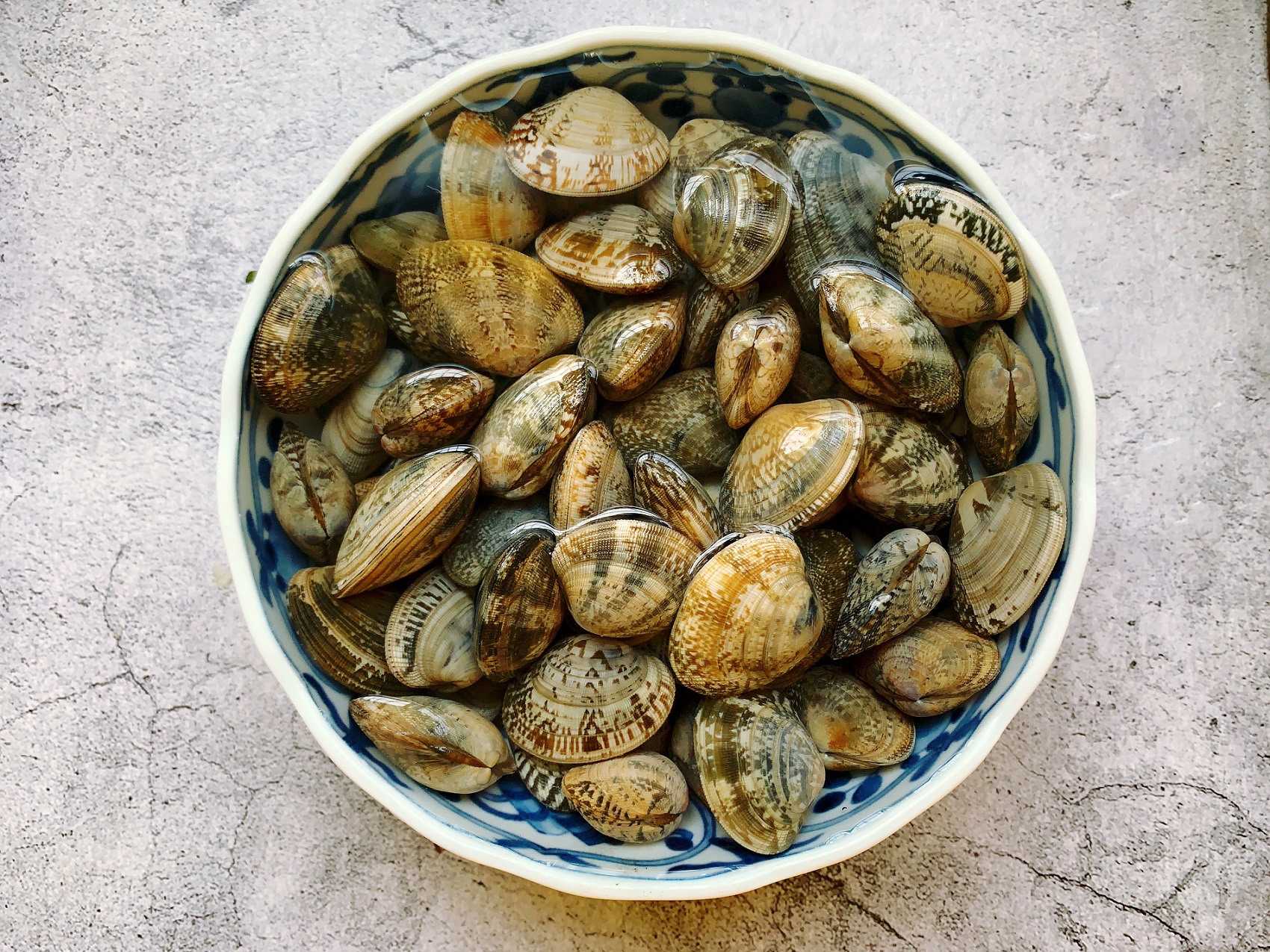 花蛤的新吃法,自己在家做料足食材丰富,怎么过瘾怎么吃