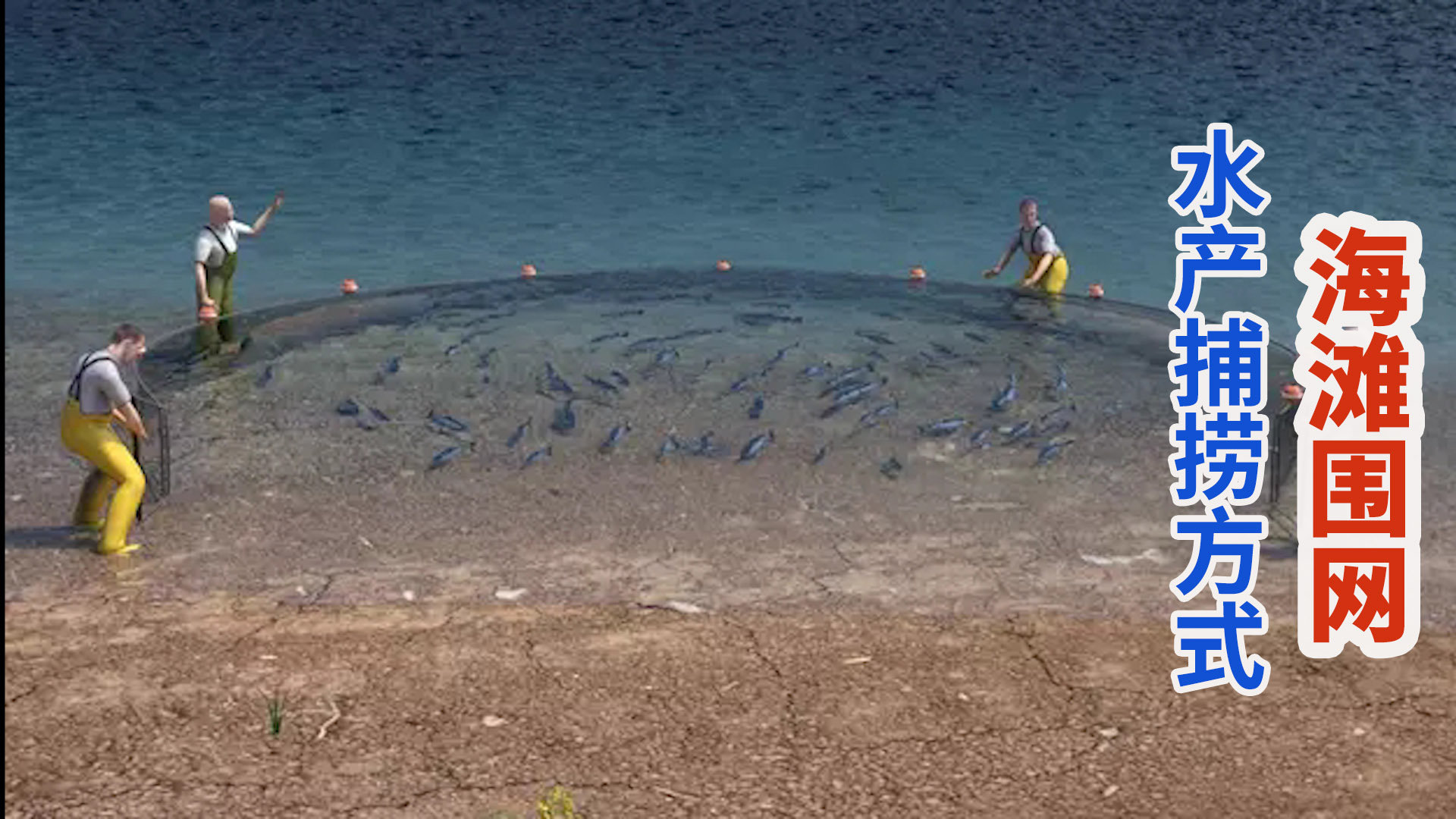 网球场尺寸和围网要求 篮球场围网多少钱