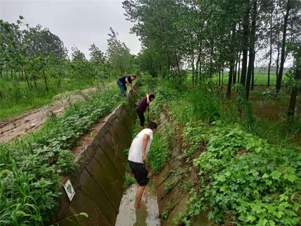 东海县青湖镇学史力行办实事防汛防台保民安