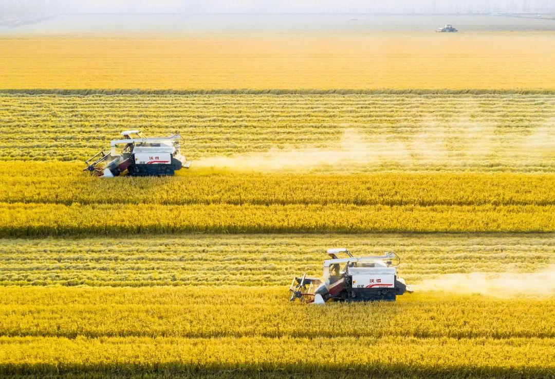 十四五时期四川农业现代化建设如何推进路径明确