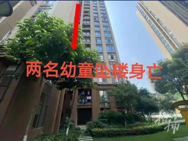 两幼童15楼坠亡案昨开庭！失足掉下还是被生父扔下？警方是这样侦破的休闲区蓝鸢梦想 - Www.slyday.coM