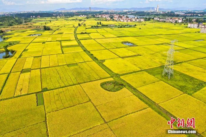 农业农村部：坚决守住全年粮食和农业丰收基本盘