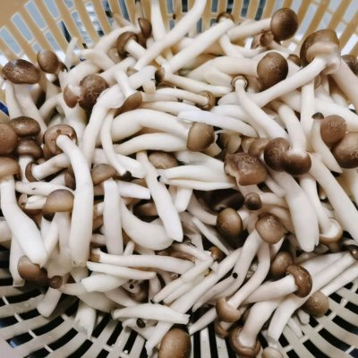 凉拌蟹味菇