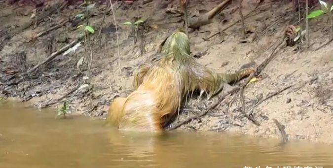 我国“水鬼”在国外被抓到?看到水鬼真容,网友：真是长见识了!休闲区蓝鸢梦想 - Www.slyday.coM