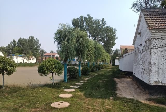 拥有500多年历史的丰县顺河镇孙集村如今成了一道美丽的风景线