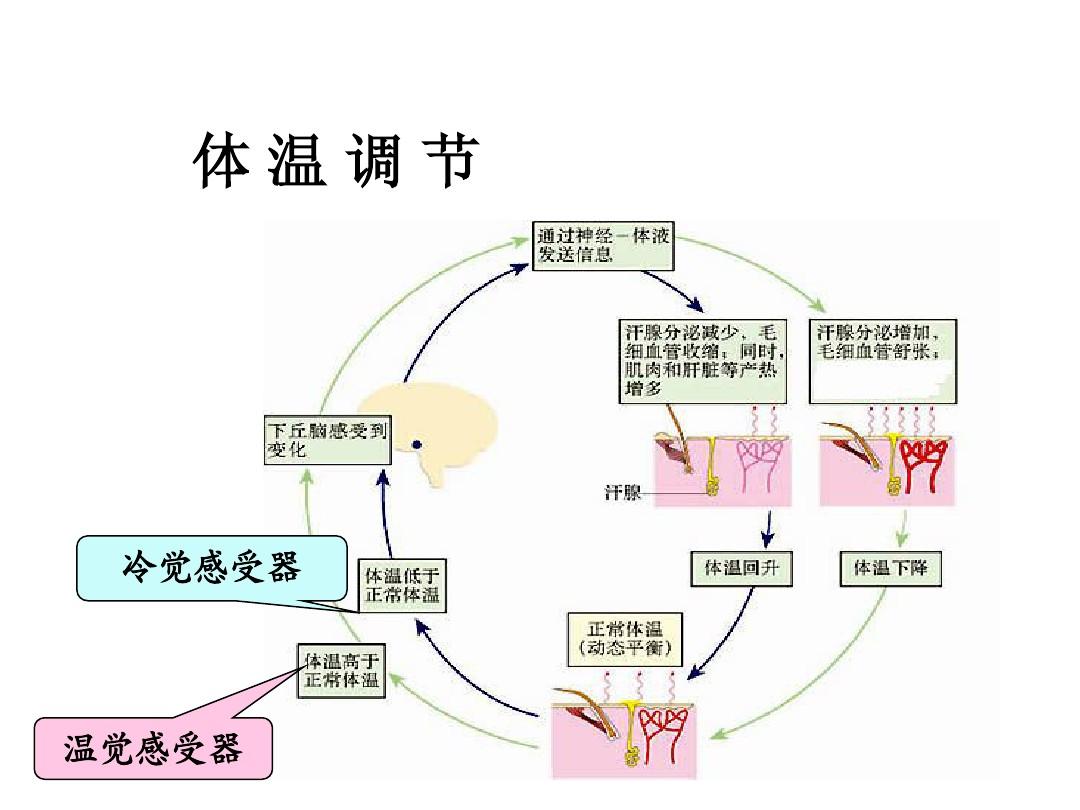 运动员狂吐竟不是水质原因:澳媒指责日本隐瞒事实,罔顾选手健康