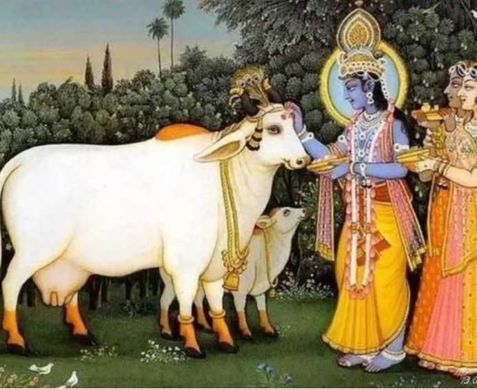 在印度,牛的地位有多高?早餐先给牛吃,“牛粪饼”卖20美元一盒休闲区蓝鸢梦想 - Www.slyday.coM 在印度,牛的地位有多高?早餐先给牛吃,“牛粪饼”卖20美元一盒休闲区蓝鸢梦想 - Www.slyday.coM