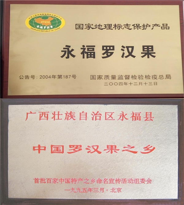 广西永福正宗罗汉果助力乡村产业振兴