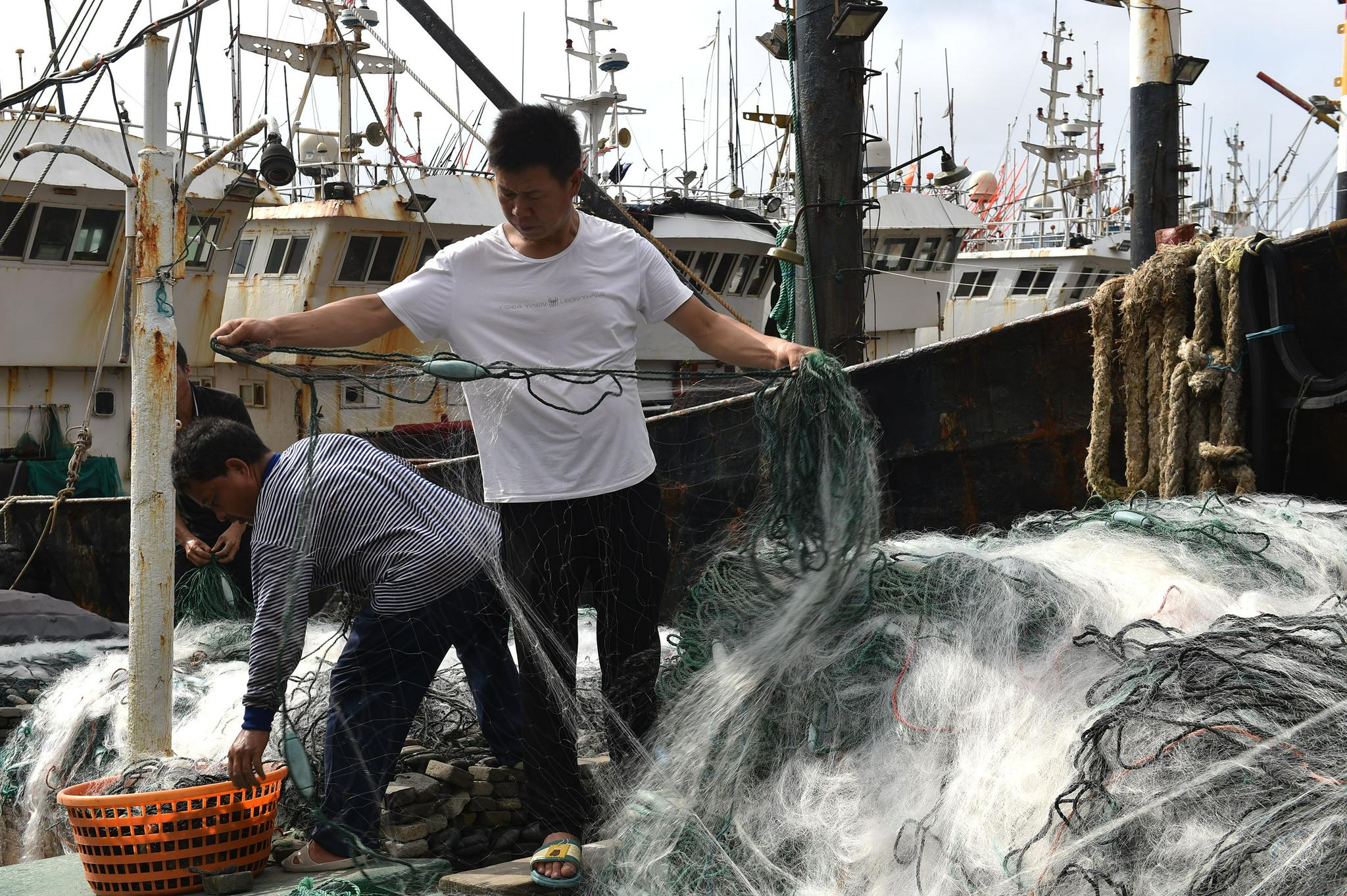 渔民在整理捕捞梭子蟹的流刺网.