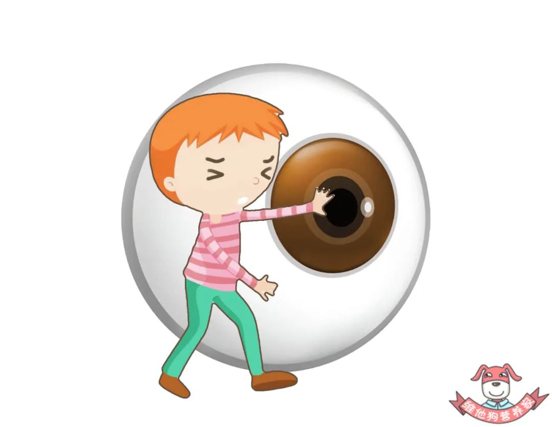 感觉会有晚上看不清东西的症状(夜盲症)