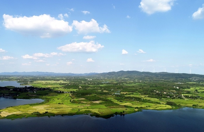 安徽全椒特色产业奏响乡村振兴奋进曲