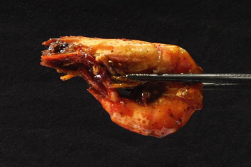 美食|春华也太吝啬了吧,只是请卡卡吃"饭堂"?