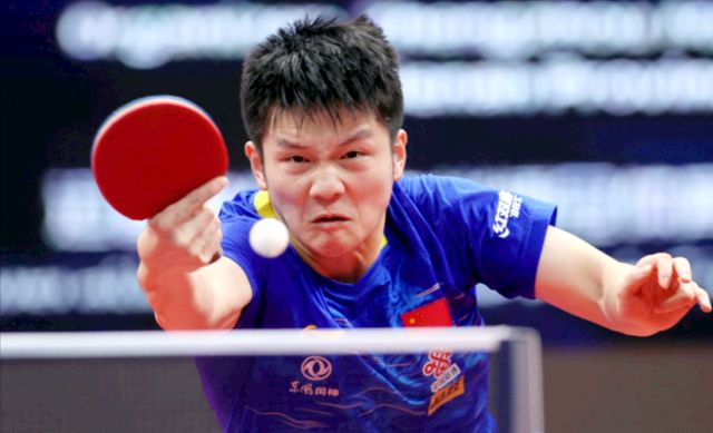 激动!乒乓球男子单打半决赛,樊振东4休闲区蓝鸢梦想 - Www.slyday.coM 激动!乒乓球男子单打半决赛,樊振东4休闲区蓝鸢梦想 - Www.slyday.coM