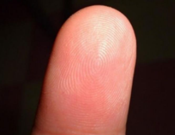 女子无意中将手指纹放大100倍看见这些有趣的画面