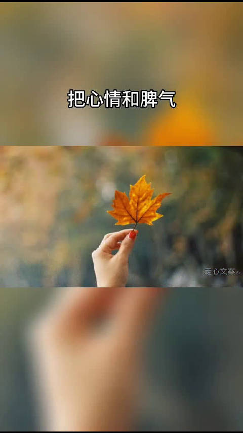 人到了一定年龄一定要懂得,把心情和脾气调成静音模式