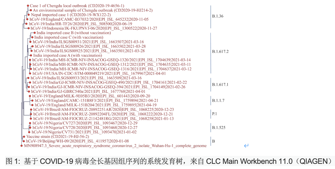 患者A和C已接种疫苗，患者B未接种疫苗